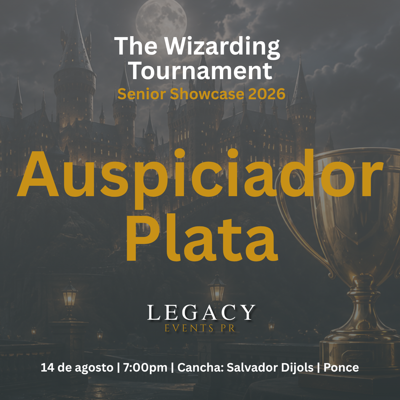 Auspiciador Plata